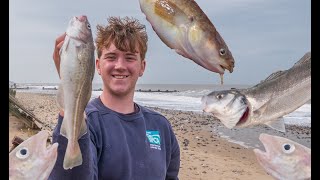 Fishing Norfolk's Beaches | Cod, Bass & More! |