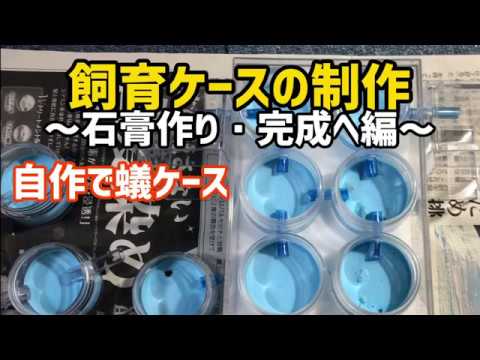 アリの自作飼育ケースの制作 石膏作り 完成へ編 蟻飼育 Youtube