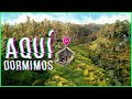 ¡No podemos creer el precio 🤩! Dormimos en campos de arroz BALI 🌾| MPV en Indonesia 🇮🇩#9