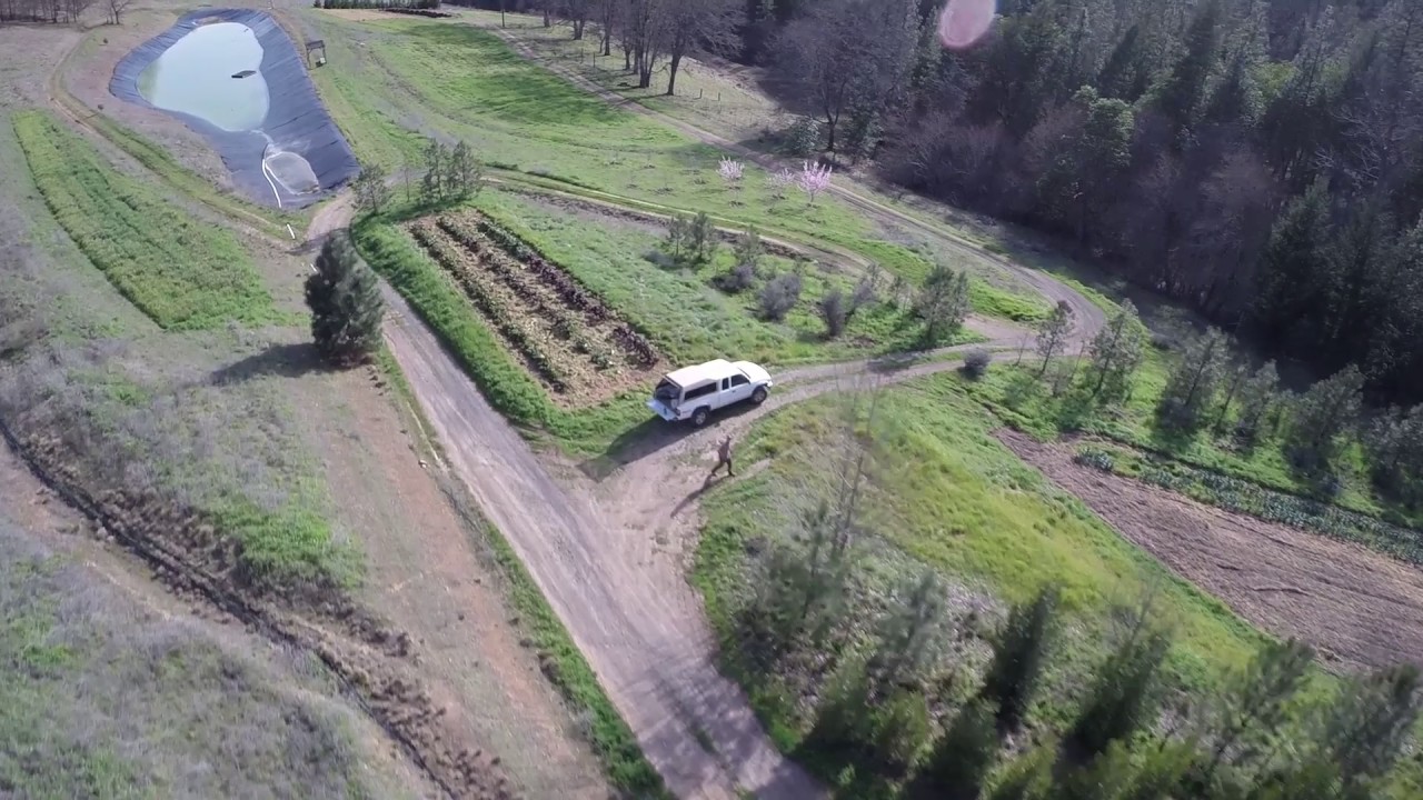 11   Wolf Gulch Farm - YouTube