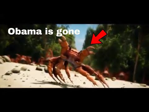 noisestrom---crab-rave-(monstercat)-meme-|-obama-is-gone