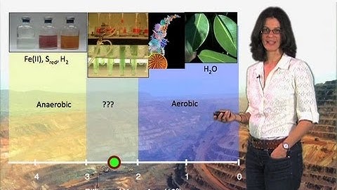 Microbes are ancient - Dianne Newman (Cal Tech/HHMI)
