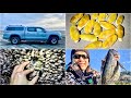 Coastal Truck Camping - Foraging, Fishing, Clamming and Catch & Cook