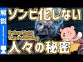 【ダイイングライト】DLC『 ザ・フォロイング』よくわかるストーリー解説【#モモクマ動画】