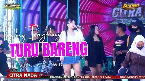 TURU BARENG // CITRA NADA LIVE PESTA LAUT MUARAREJA (BRUG ABANG) 2025 - KOTA TEGAL