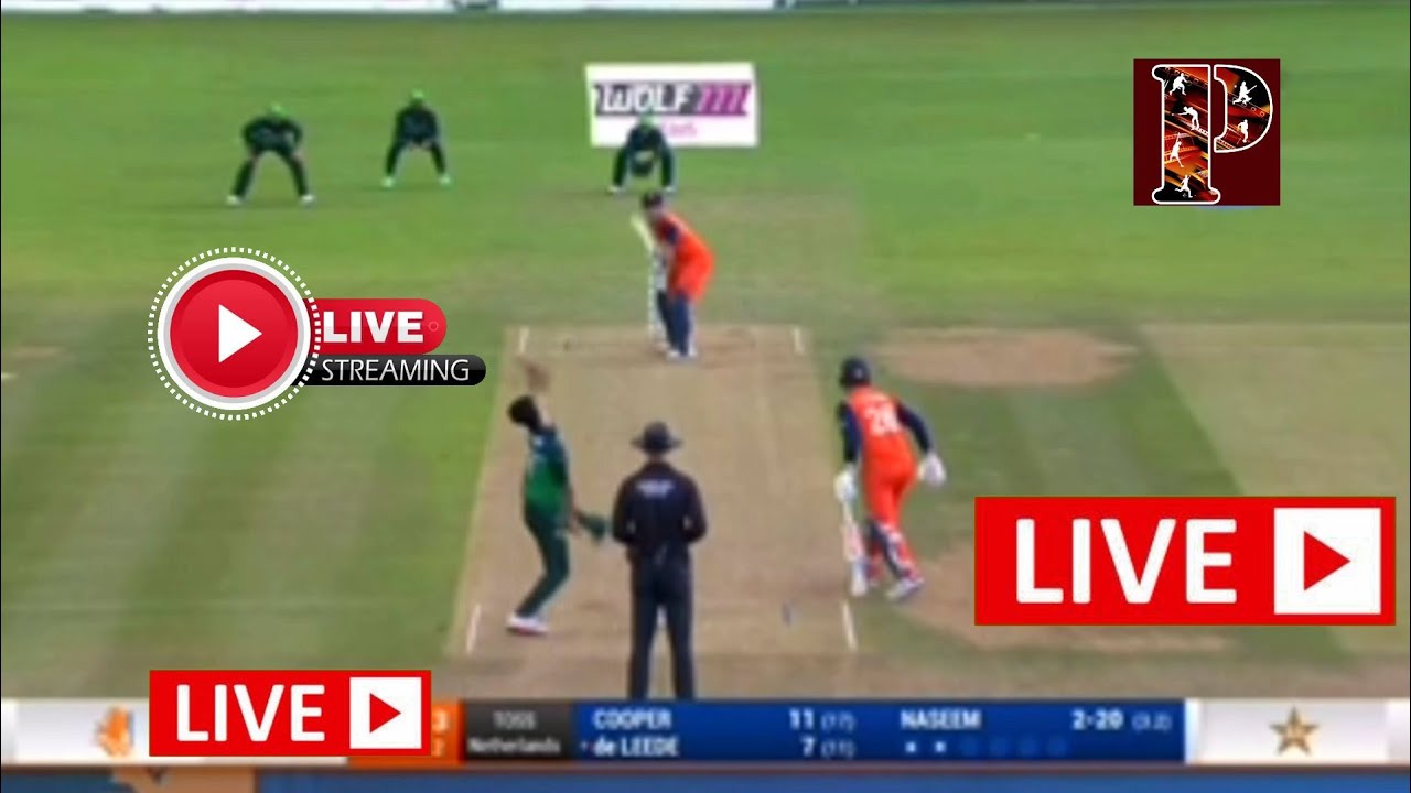 live cricket streaming on mobile phone