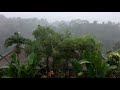 Тропический ливень Ubud