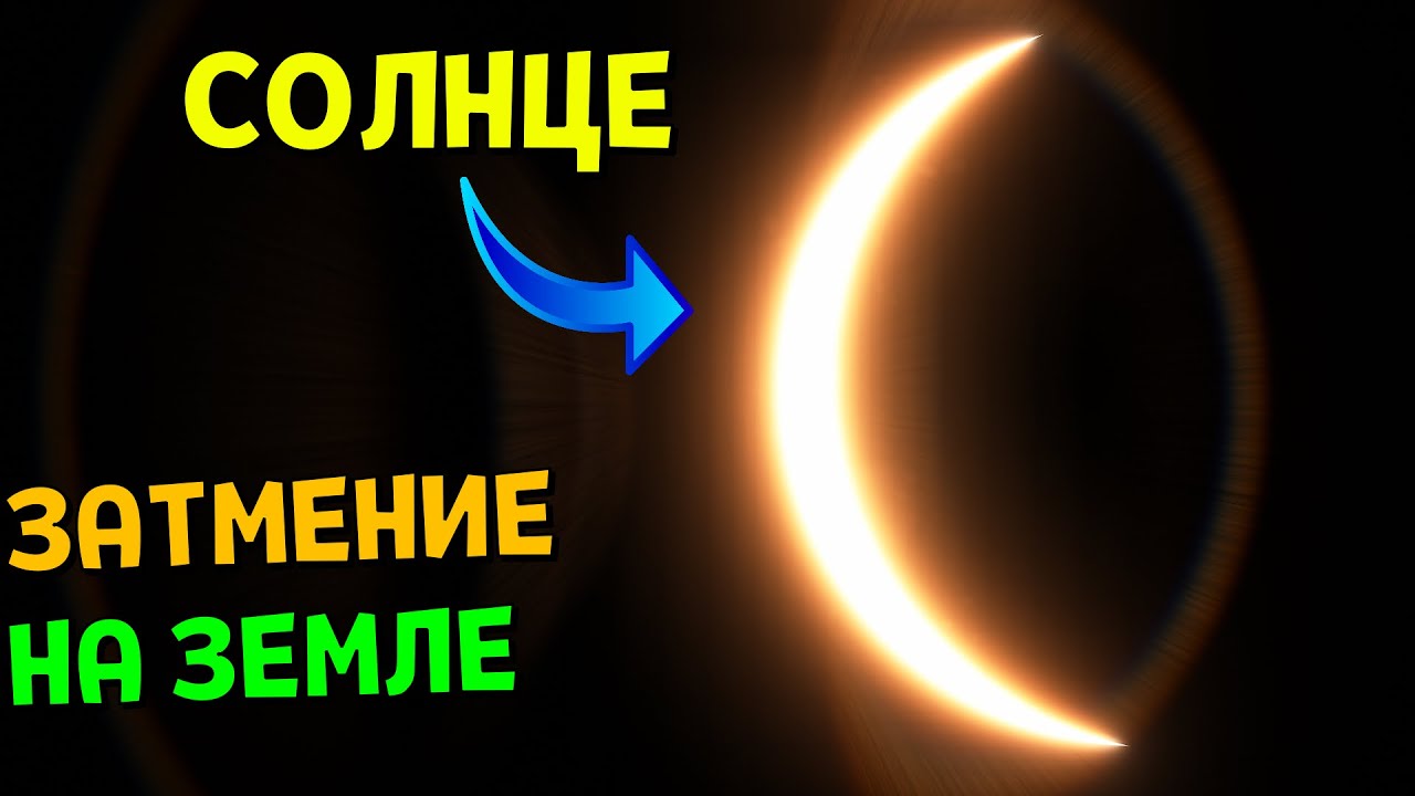 портал 2024