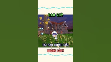 Râu Quỳ không phát triển? #miniworld #miniworldvn #miniworldvatoi