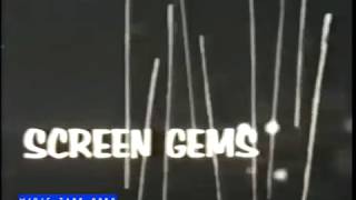 Screen Gems Television Logo 1963