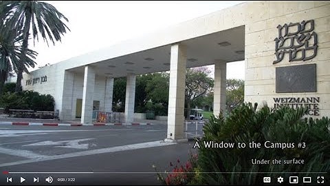 A Window to the Campus #3: Under the Surface