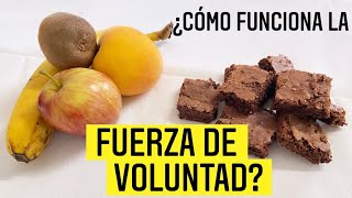 Cómo tener FUERZA de VOLUNTAD