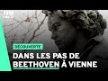 рџ љ Dans Les Pas De Beethoven Г Vienne рџ љ Dans Les Pas De Beethoven Г Vienne