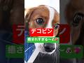 #デコピン #大谷翔平 #twitter #おもしろ動_ #tiktok #shortvideo