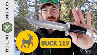 It's Worth A Revisit! Buck 119 Special