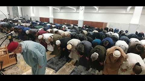 قراءة خاشعة من أواخر سورة المؤمنون  من مسجد الأمل ( براطو.. إيطاليا)مع القارئ الشيخ محمد  العسري