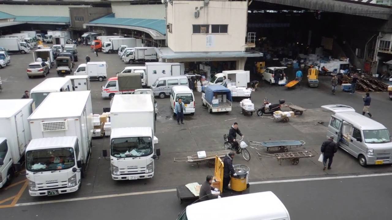 Tokyo fish market from top of a nearby building YouTube