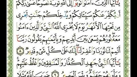66  -  سورة التحريم 💚 الشيخ   ناصر القطامي