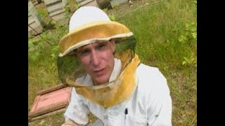 Bill Nye The Science Guy  S02E11  Insects  Best Quality