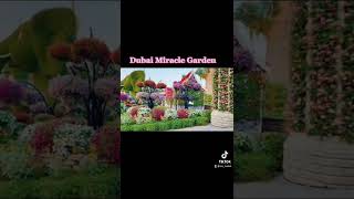 DUBAI MIRACLE GARDEN