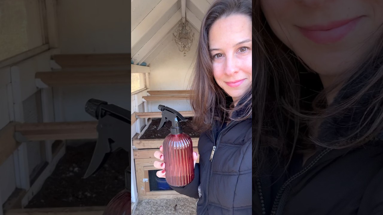 DIY Natural Cleaner for Chicken Coops - Easy, Safe and Effective! 