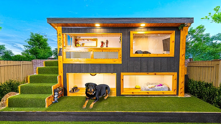 Ik bouw een luxe hondenhok van $ 20.000