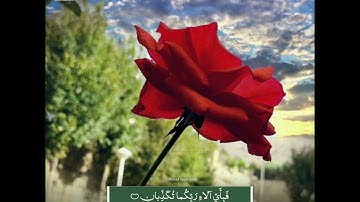 🌺 وَ لَهُ الْجَوارِ الْمُنْشَآتُ …. 🌺 الشيخ عبدالباسط رحمه الله . سورة الرحمن .