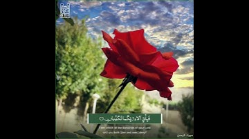 🌺 وَ لَهُ الْجَوارِ الْمُنْشَآتُ …. 🌺 الشيخ عبدالباسط رحمه الله . سورة الرحمن .