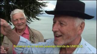 Tetaso amas vojaĝi （Svisio ) – 2a Teo kaj Amo