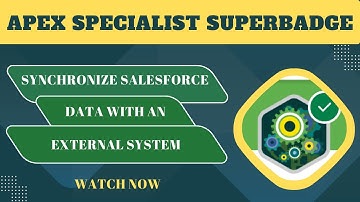 Synchronize Salesforce Data With An External System | Apex Specialist Superbadge