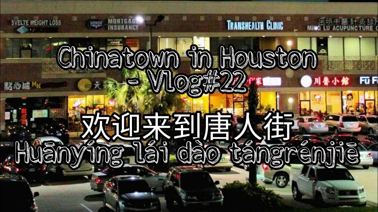 bali vlog 2019 Chinatown in Houston - Vlog#22