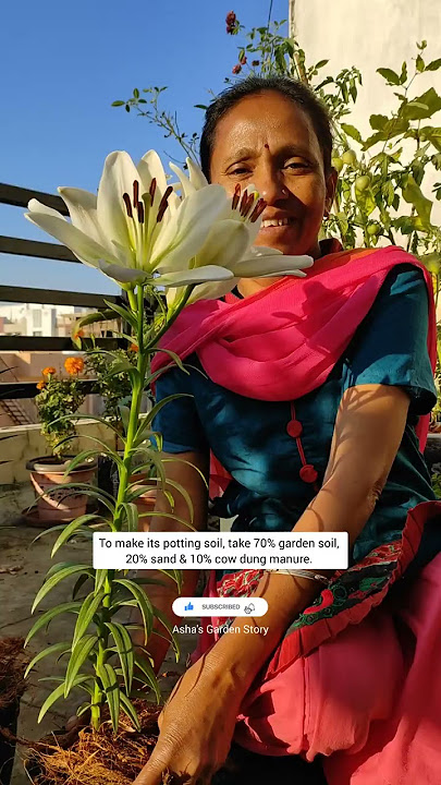Download lagu 5 Care Tips For Asiatic Lily Plant|Winter Flower|एशियाटिक लिली के लिए टिप्स|#ashasgardenstory#shorts