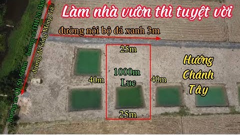 ❤️ 1000m lúa lô 2 đường đê Sông Mồng Gà xe hơi tận đất, làm nhà vườn là tuyệt vời