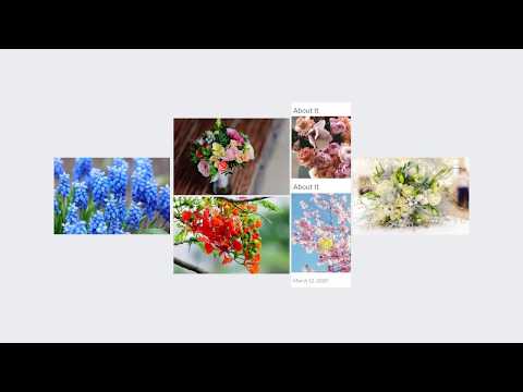 CSS Image Hover Effect | HTML & CSS