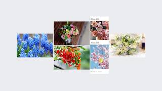 CSS Image Hover Effect | HTML & CSS