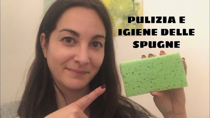 Rischi in cucina: cosa si nasconde in spugne e strofinacci? 