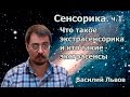 Сенсорика. ч.1. Что такое экстрасенсорика и кто такие экстрасенсы.