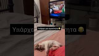 Υπάρχει μια ομοιότητα 😂 #κατοικιδια