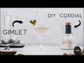 Homemade Cordial for the best Gin Gimlet - How to make lime cordial at home