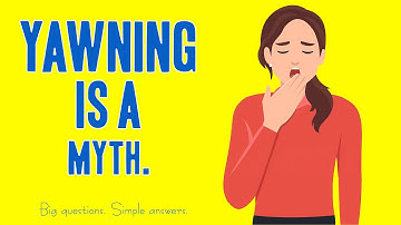Why We Yawn: The Real Science Explained