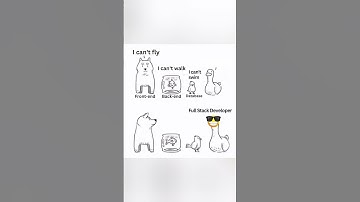 Full stack developers attitude #developer #memes #ashortaday #shorts