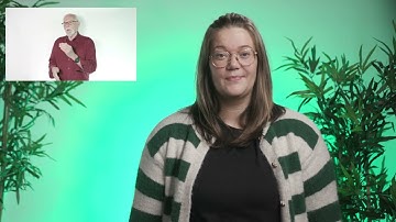 Vergemål og beslutningsstøtte