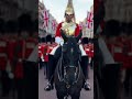 🎖️🐎 Perfect Timing. Perfect Discipline. 🇬🇧👌 #RoyalHorse #MilitaryParade #BritishTradition #shorts