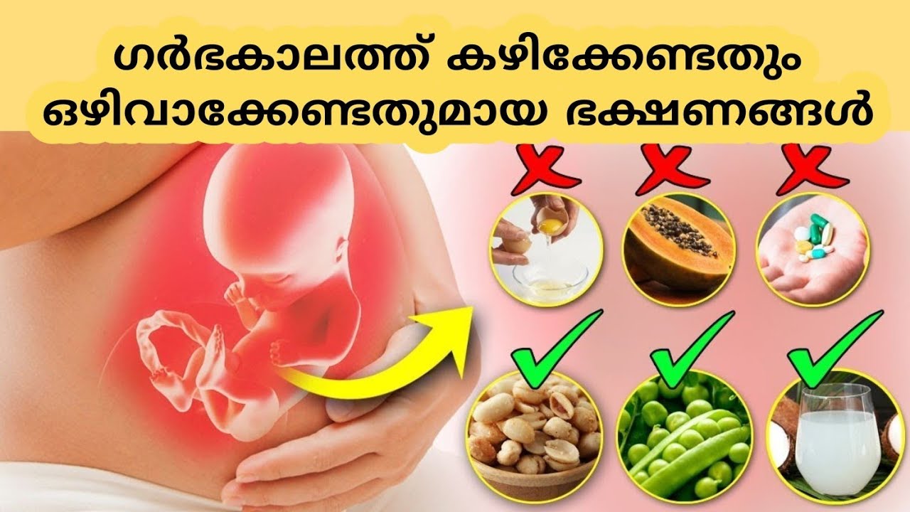 Which Food to Avoid and Eat During pregnancy in malayalam YouTube