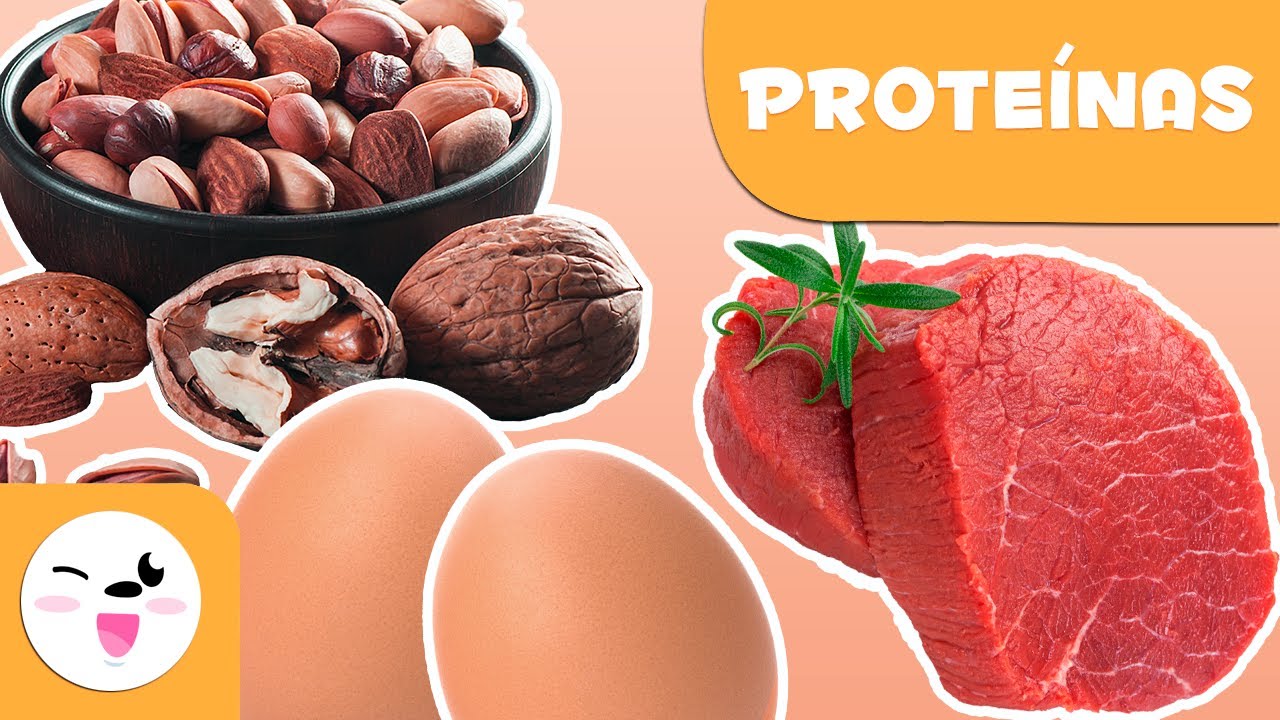 Qué son las proteínas? - Alimentación saludable para niños - thptnganamst.edu.vn