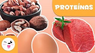 Qué son las proteínas? - Alimentación saludable para niños - thptnganamst.edu.vn