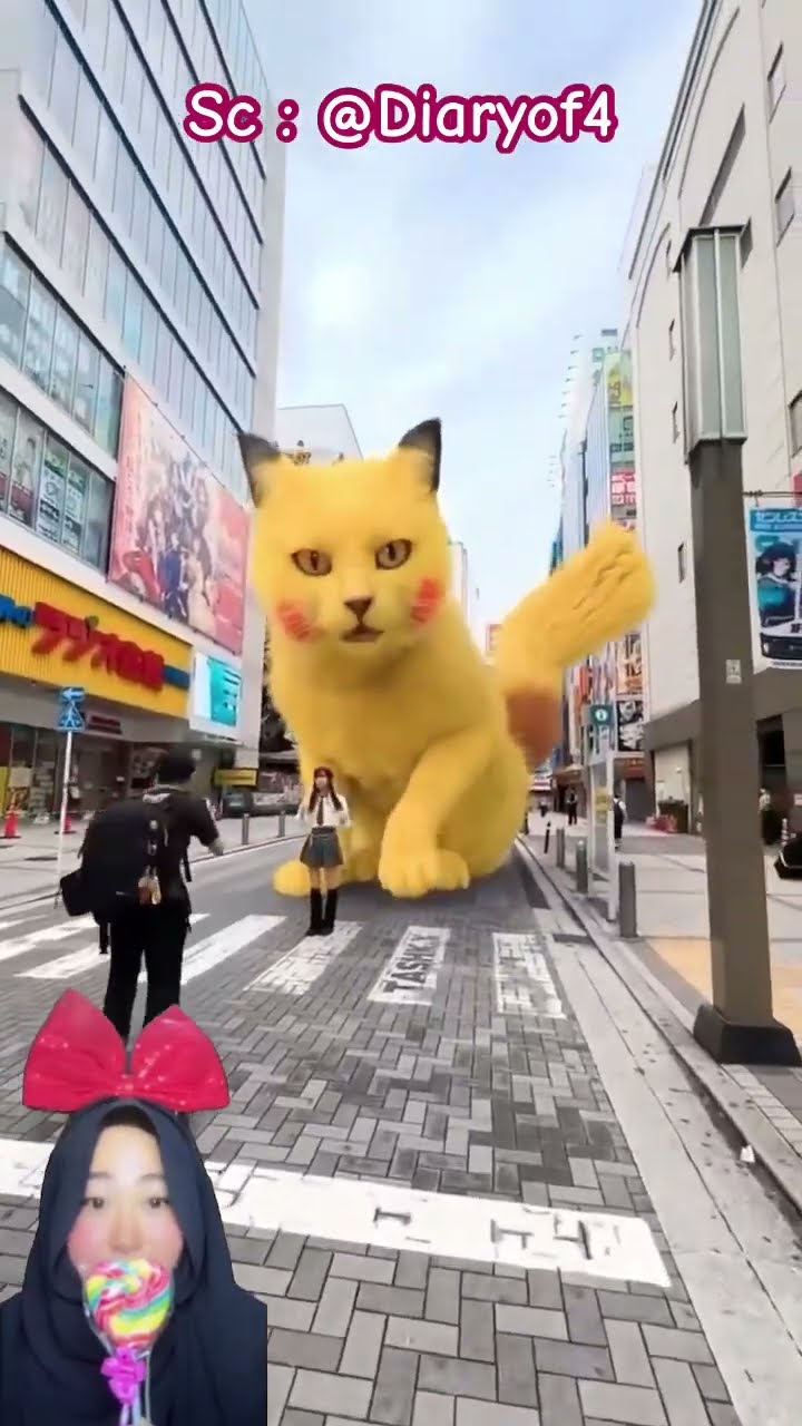 ADA KUCING POKEMON LUCU ⁉️? @Diaryof4 #shorts #funny #dubbing #pikachu