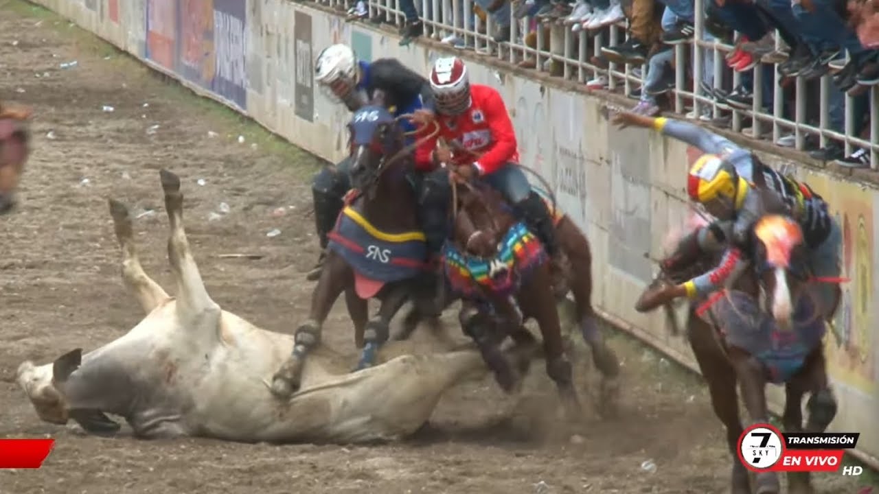 Miguel Bolivar En La Choco Campeonato de Campeones (Las 6 salidas del campeonato)