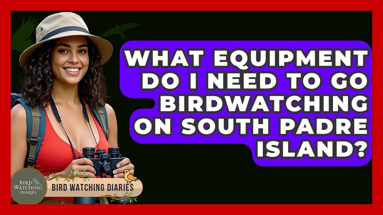 What Equipment Do I Need To Go Birdwatching On South Padre Island? - Bird Watching Diaries