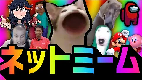 インターネットミーム インターネットミーム